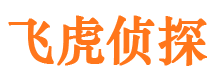 岳西外遇出轨调查取证